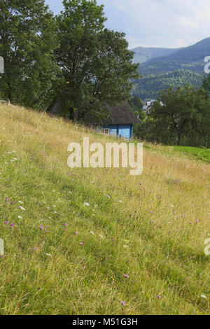 Casa, montagne, foreste, nuvole, recinto, giardino, fiore, lucentezza, ombra paesaggio, villaggio, vertice, il giorno, la sera, la bellezza, l'amore, albero, alberi, conteggio Foto Stock