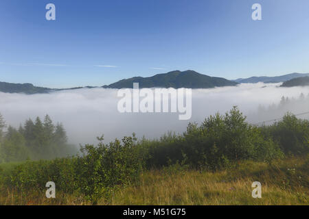 Viaggiare, paesaggio, nebbia, foschia, mattina, la montagna, alberi, foresta, sky, legno,montagna Foto Stock