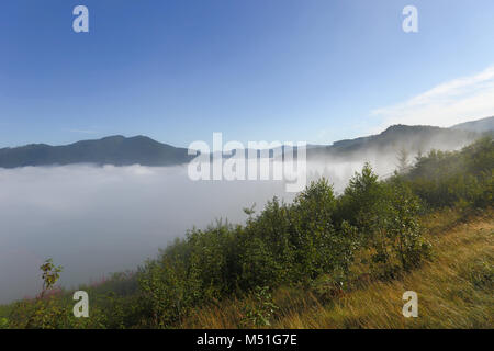 Viaggiare, paesaggio, nebbia, foschia, mattina, la montagna, alberi, foresta, sky, legno,montagna Foto Stock