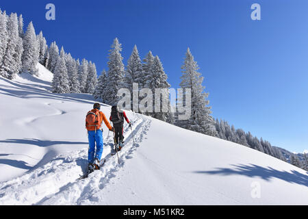 Due sciatori con zaini sul modo in un profondo paesaggio innevato in montagna con foreste di conifere. Allgaeu Alpi, Baviera, Germania Foto Stock