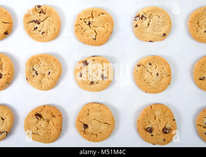 Vista piana dall'alto sfornato fresco morbido e fragranti biscotti con scaglie di cioccolato su un vassoio da forno ricoperto di carta pergamena. Un popolare in casa il trattamento per pazienti adulti Foto Stock