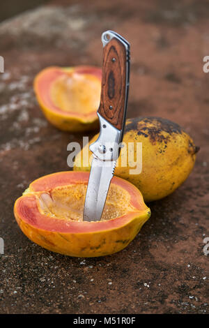 Gustosa papaia e coltello Foto Stock