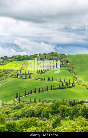 Strada di avvolgimento su di una collina in Toscana, Italia Foto Stock