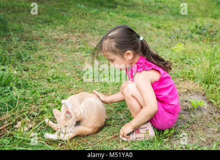 Bambina accarezzare un gatto seduto sull'erba Foto Stock