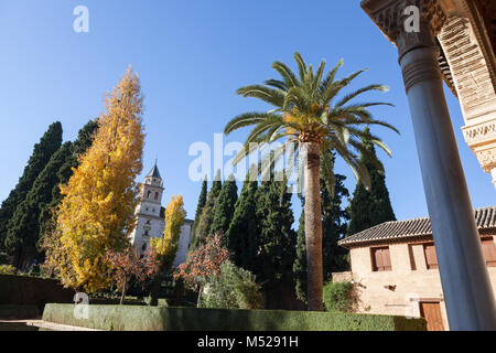 Granada, Spagna: Jardines del Partal presso la Torre de Las Damas nell'Alhambra Palace e fortezza. Foto Stock