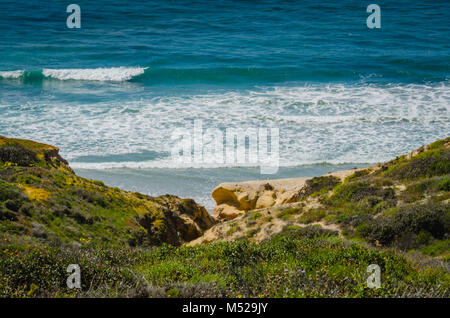 Torrey Pines Riserva Naturale Statale, situato all'interno di San Diego città limiti, rimane una delle più selvagge distese di terra sul nostro Southern California coa Foto Stock