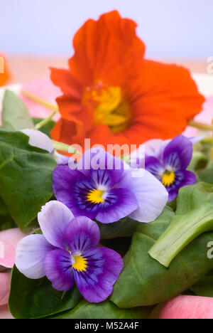 Insalata di fiori commestibili nel piatto di ceramica. colorato piatto estivo. con nasturtiums il, pansies, rose e mache. Foto Stock