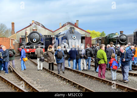 Locomotive a vapore 6023 re Edoardo II e 60007 Sir Nigel Gresley a Didcot Railway centro durante il 'Una volta in una luna blu' dell'evento. Foto Stock