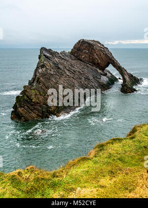 Bow Fiddle Rock, Portknockie,, murene, Scotland, Regno Unito. Drammatica usura naturale arco di mare Foto Stock