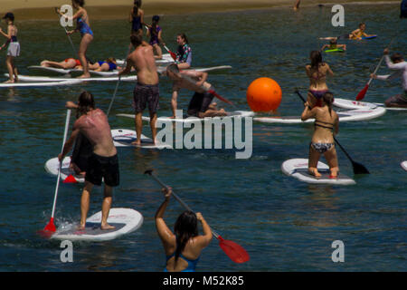 Sydney, Australia: gruppo di persone aventi il divertimento con paddle surf Foto Stock