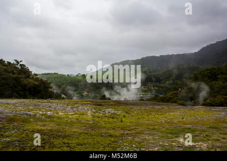 Paesaggio geotermica con sorgenti di acqua calda e di vapore da geyser, Nuova Zelanda Foto Stock