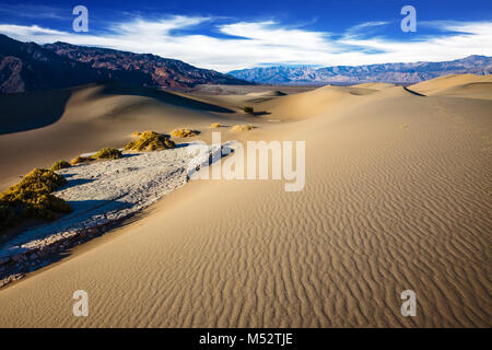 Le dolci curve delle dune di sabbia Foto Stock