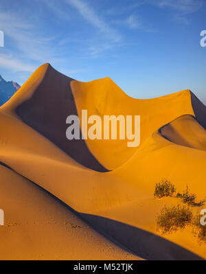 Stati Uniti d'America. Mesquite Flat dune di sabbia Foto Stock