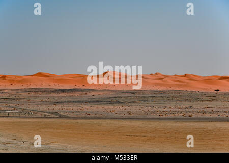 Dune di sabbia visto 100km ad ovest di Riyadh in una zona dove la sabbia è di colore rosso. Foto Stock