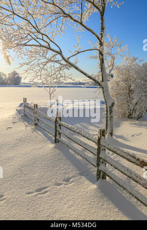 Recinzione con neve nel giardino di inverno Foto Stock