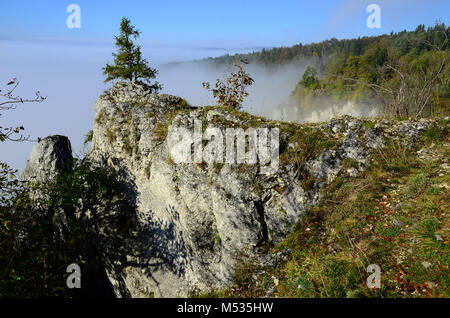 Valle del Danubio; parco naturale; sveve; Germania; Foto Stock