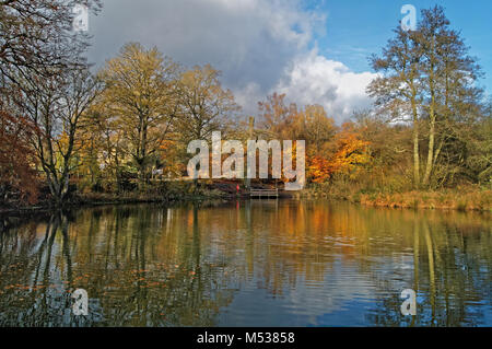 UK,Derbyshire,Peak District,Bentley Brook Pond, Lumsdale vicino a Matlock Foto Stock