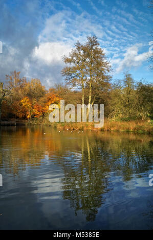 UK,Derbyshire,Peak District,Bentley Brook Pond, Lumsdale vicino a Matlock Foto Stock