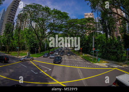 SINGAPORE, Singapore - 30 gennaio. 2018: veduta esterna di molte vetture in una strada che circonda di vegetazione a livello pubblico Condominio Residenziale complesso edilizio e il centro cittadino dall'alto a Kallang quartiere di Singapore, effetto fish-eye Foto Stock