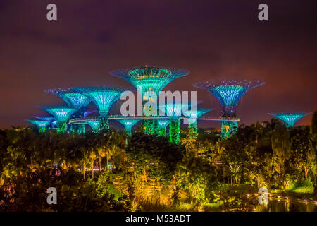 SINGAPORE, Singapore - 01 febbraio 2018: bella vista futuristico di illuminazione straordinaria al giardino dalla Baia di Singapore. Night light show a Supertree è principale Marina Bay Sands distretto attrazione turistica Foto Stock