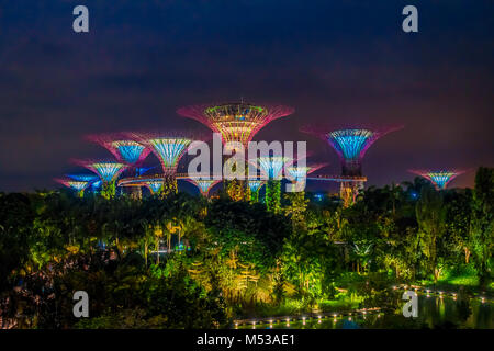 SINGAPORE, Singapore - 01 febbraio 2018: bella vista esterna della struttura futuristica incredibile di illuminamento in giardino dalla Baia di Singapore. Night light show a Supertree è principale Marina Bay Sands distretto attrazione turistica Foto Stock