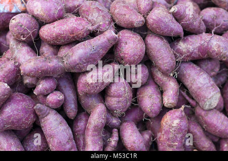 Close-up di patata dolce buccia viola yam materie molti in background di mercato Foto Stock