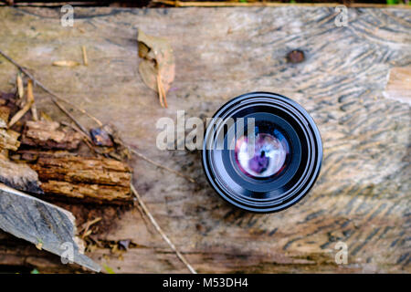 La lente della fotocamera su un ceppo di legno, essendo immersa in un bagno di luce, sfondo sfocato, bella texture di legno e diagonale dal crack dove le piante entra Foto Stock