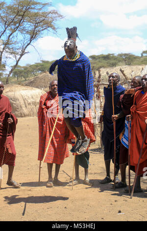 Guerrieri Maasai in ballo nel villaggio nei pressi del cratere di Ngorongoro, Tanzania Foto Stock