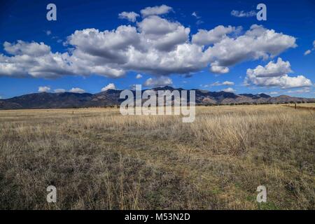 Cuenca del Rio San Pedro, Naturalia Foto Stock