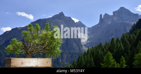 Alpi dolomitiche; Alto Adige; Italia; Gruppo del Sella; Foto Stock