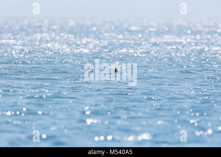 Vini spumanti di superficie del lago Foto Stock