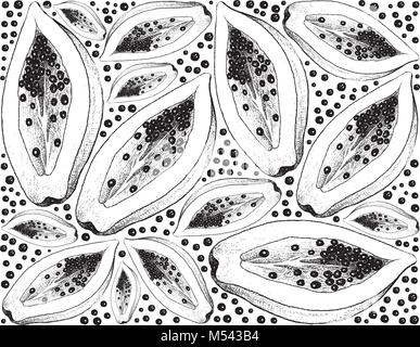 Frutti tropicali, immagine di sfondo di mano il bozzetto freschi maturi frutti di papaia. Illustrazione Vettoriale