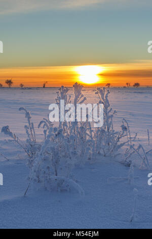 Tramonto con impianti di pupazzo di neve e neve nel paesaggio Foto Stock