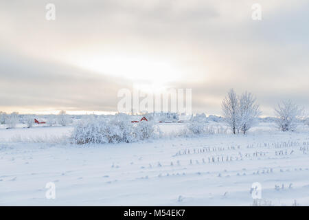 Freddo inverno il paesaggio con la neve e il gelo Foto Stock