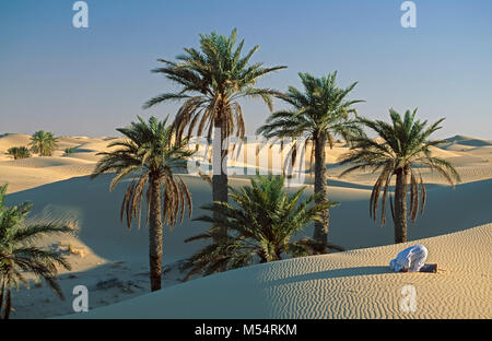 Algeria. Near Touggourt. The Eastern Sand Sea. Grand Erg Oriental. Sahara desert. Sand dunes and palm trees. Bedouin man praying. Foto Stock