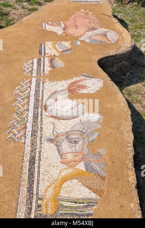 Le antiche rovine di Grandi Terme (II secolo D.C.). Frammento di mosaico antico. Dion sito archeologico, Pieria, Macedonia, Grecia Foto Stock