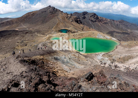 Nuova Zelanda paesaggio Foto Stock