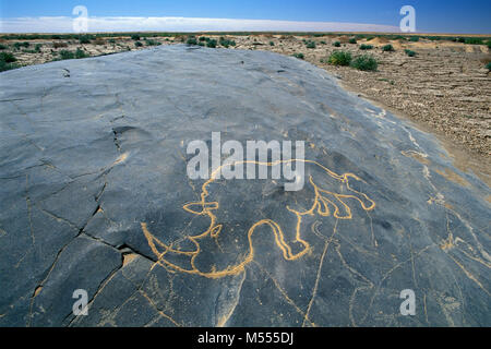 Algeria. Vicino a Tamanrasset. Tassili du Hoggar. Deserto del Sahara. Scultura preistorica di rinoceronte, rinoceronte. La sabbia nelle linee rende il design più chiaro. Foto Stock