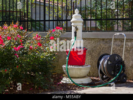 Fontana classico in un giardino con un'irrigazione bobina collegata al suo rubinetto Foto Stock
