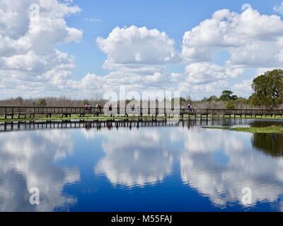 Visitatori sul lungomare a Paynes Prairie preservare parco statale, con grandi e soffici nuvole che riflette nell'acqua. Gainesville, Florida, Stati Uniti d'America. Foto Stock