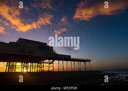 Aberystwyth Wales UK, martedì 20 febbraio 2018 UK Meteo: il sole che tramonta, incorniciato drammaticamente dietro Aberystwyth pier, rileva le sagome di alcune decine di migliaia di minuscoli storni come essi posatoio per la notte, arroccato insieme per il calore e la sicurezza sulle travi e travi sottostanti la città distintivo del Vittoriano era molo sul mare uno dei pochi posatoi urbano nel Regno Unito, Credito: keith morris/Alamy Live News Foto Stock