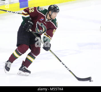 Moline, Iowa, USA. 18 Febbraio, 2018. Quad-City Mallard Alex Globke con il puck contro di Toledo, Domenica, 18 febbraio 2018, durante il primo periodo di azione al centro TaxSlayer di Moline. Credito: John Schultz/Quad-City volte/ZUMA filo/Alamy Live News Foto Stock