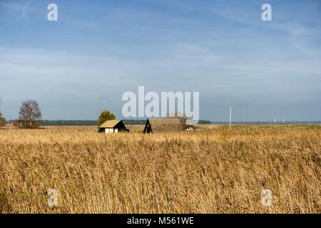 Fisherman's cabine sulla baia vicino Ahrenshoop in Germania Foto Stock