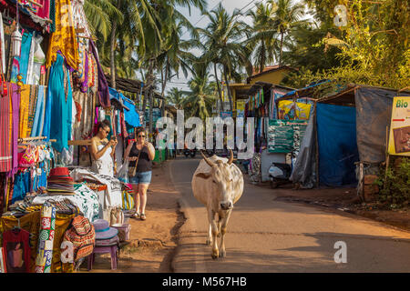 Un paio di turisti fotografare della mucca a piedi giù per la strada del mercato durante un caldo a metà giornata in Agonda, India. Foto Stock