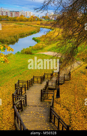 Autunno dorato nel parco Foto Stock