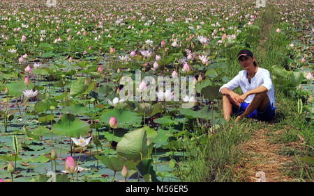 Un uomo adulto si siede su un campo di lotus, Cambogia Foto Stock