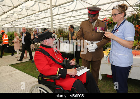 Johnson Beharry VC Foto Stock