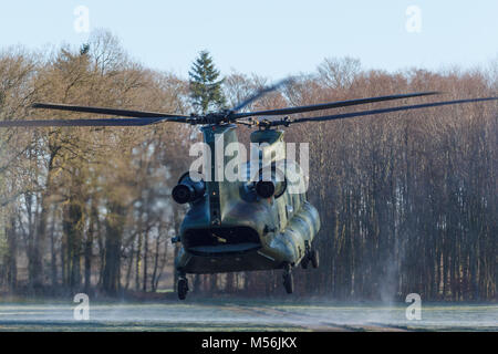 Olst Feb 7 2018: Amry e Air Force esercizio di elicottero Chinook sbarco di soldati di caduta Foto Stock