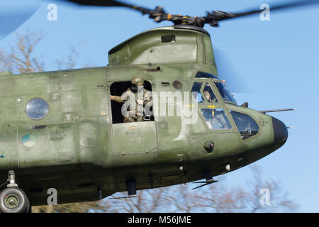 Olst Feb 7 2018: Amry e Air Force elicottero esercizio. La Chinook sbarco a ritirare i soldati Foto Stock