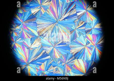 Immagine al microscopio di cristalli di acido acetilsalicilico fotografato in luce polarizzata Foto Stock